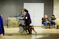 Working Group BBE Sat Ring