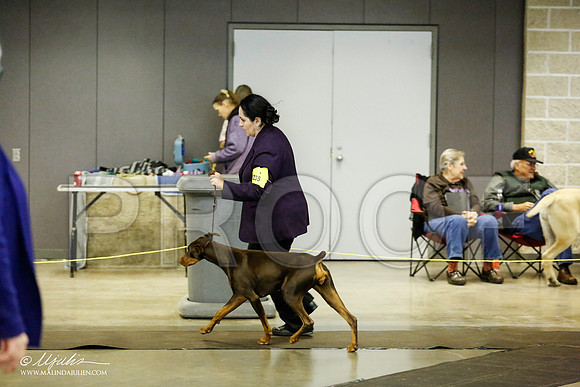 _RH_1885-BeltonJan2015IABCA-HR3
