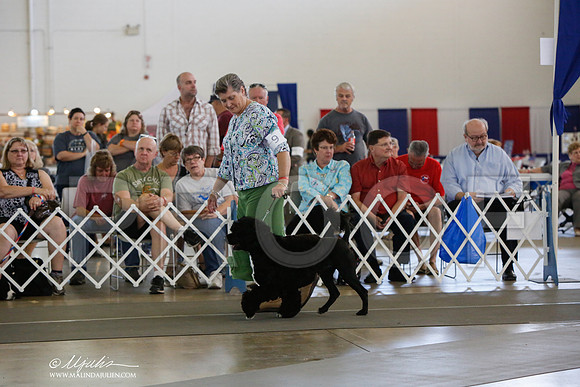 _JJ_1840-DallasJul2014-HR3