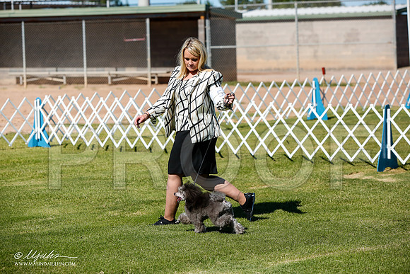 _JJ_4621-AlamogordoOct2014-HR3