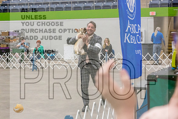 *Best in Show Sat Ring-JJL_0489-Abilene2022-HR3