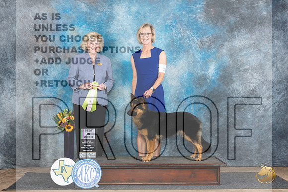 Bohemain Shepherd #6 Fri OBIS Judge Vicki Abbott__JP_9292_Abilene_2024_HR3