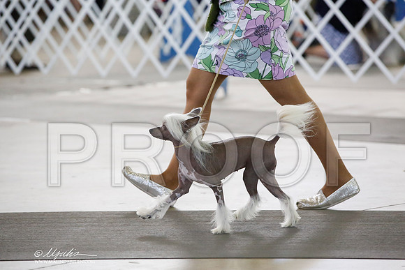 _CK_2676-DallasJul2014-HR3