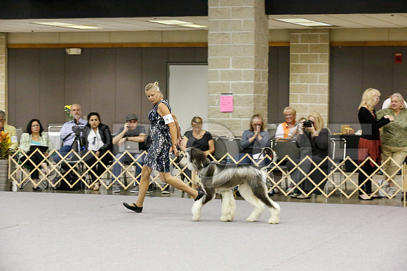 _JJ_8849-AfgBeltonOct2014-HR3