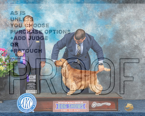English Cocker Spaniel #25 Fri WD MAJ Judge Del Richards-MJP_3870e_HSTN2023-HR3