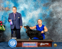 ANNA V STALEY Houston 2023
