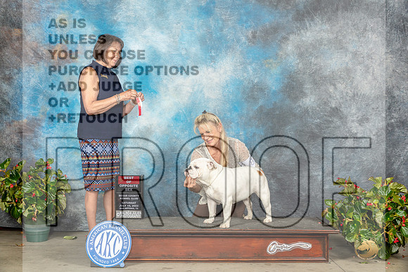 Bulldog #8 Sun BOS Judge Helene Nietsch-MJP_9669e_SA2023-HR3
