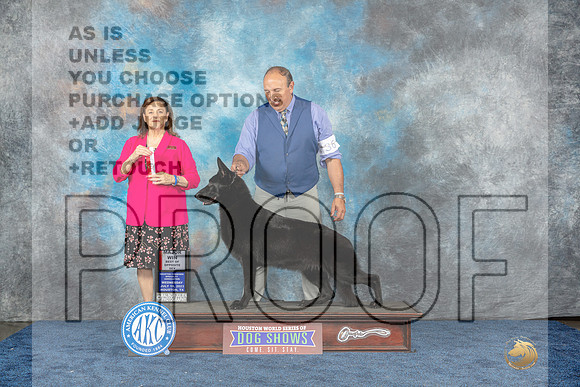 German Shepherd Dog 336 Wed BOS Judge Joan Luna Liebes-MJP_1363e_Hstn2023-HR3