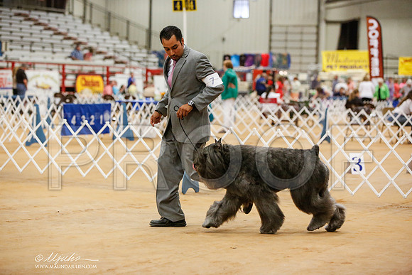 _JN_5297-TxArJun2014-HR3