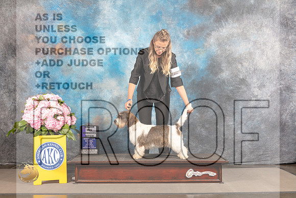PBGV #6 THUR WB Major Judge Barara Alderman_MJ_3666_Houston_2022_HR3