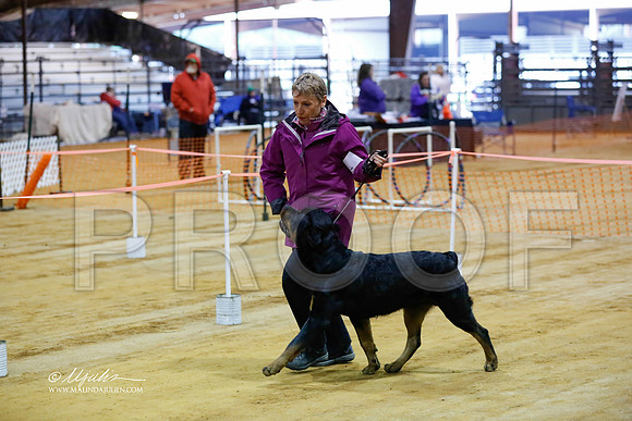 rott-4178-MrshlDec13-HR