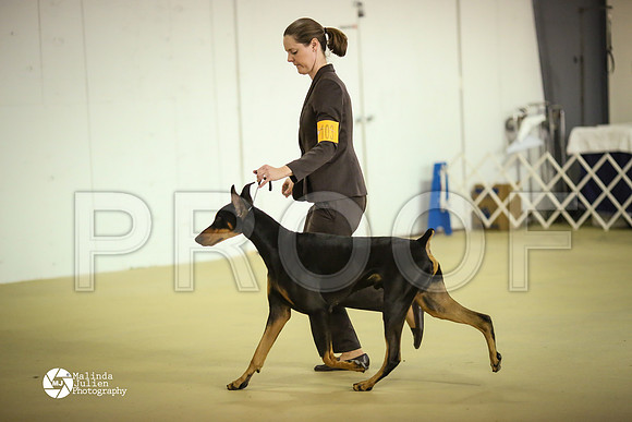 Dobe-7810-HtoJan14-HR