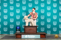 Poodle Miniature #289 Fri AG1 Judge Diane Price