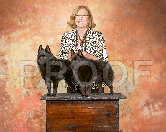 _ST_2548-CarlrolltonSept2014-HR3