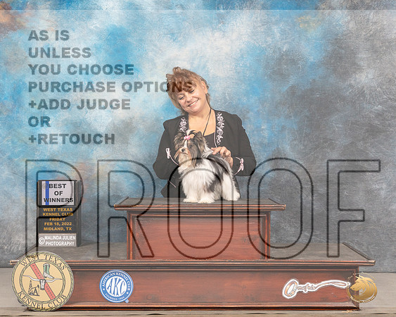 Biewer Terrier #7 Fri BOW Judge Gary AndersenMMJ_3140_Mdlnd2022_HR3