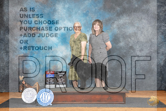 Mudi #9 BOWBOSM Judge Karen Hynek__JP_7000_MARSHALL_2024_HR3