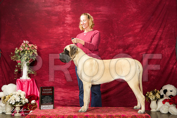 _ST_2936-BeltonJan2015IABCA-HR3