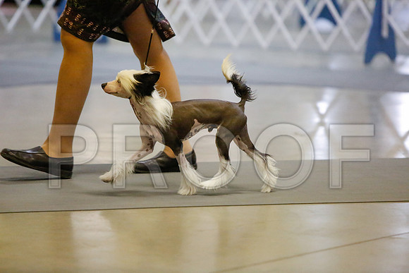_JJ_2024-AmarilloSept2014-HR3