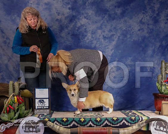 CorgPW-2882-GRJan14-HR