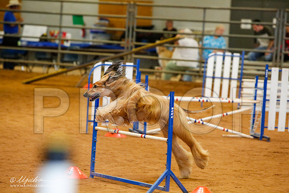 _MJ_2213-AfgBeltonOct2014-HR3