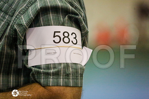 _RH_8117-BsrCtyJun2014-HR3