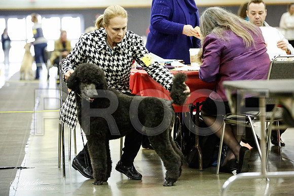 _JJ_5662-BeltonJan2015IABCA-HR3