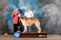 Borzoi #23 WED WD Judge Sylvie McGee