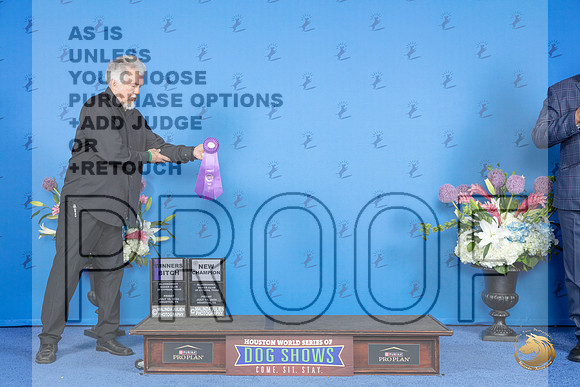 Boxer #20 FRI WB NC M Judge Jon Cole__JP_8999_Houston_2024_HR3