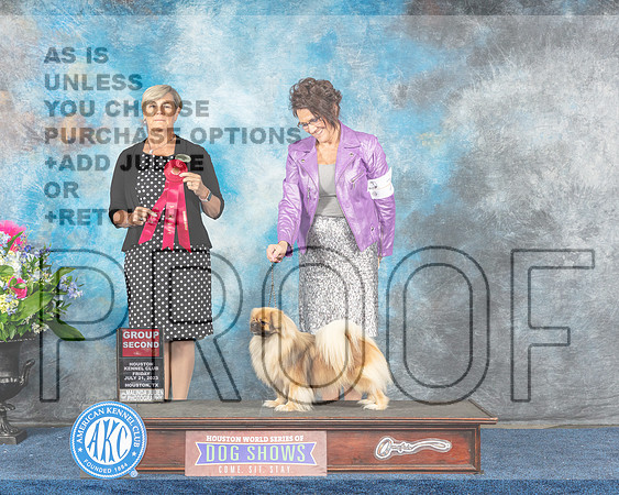 Tibetan Spaniel #5 Fri G2 Judge Cheryl Patterson-MJP_6424e-HStn2023_HR3