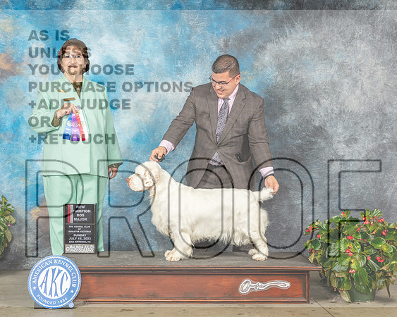 Clumber Spaniel #6 Sun BOSMCH Judge Nikki Riggsbee-MJP_0256e-SA2023_HR3