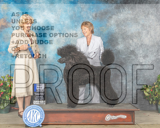 Poodle Std #6 Sat 9121st Judge Patti Widick Neale-MJP_9140-SA2023_HR3