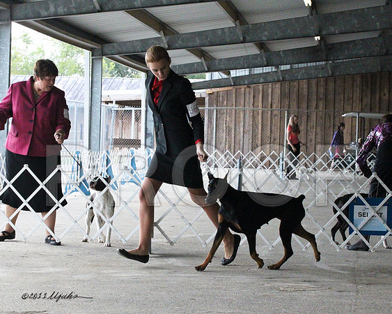Jr.Dobe-9734