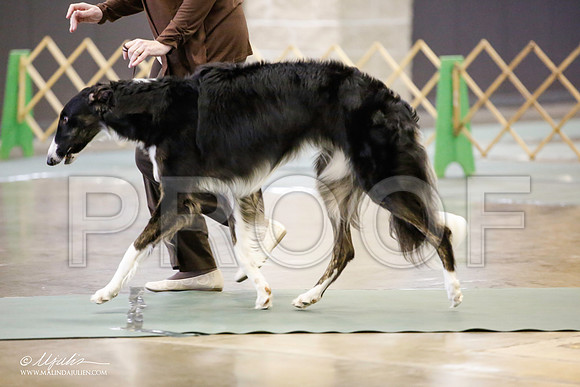 _JN_4547-BeltonJan2015-HR3