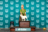 French Bulldog #1137 Sat COC Judge Stephanie Mueller