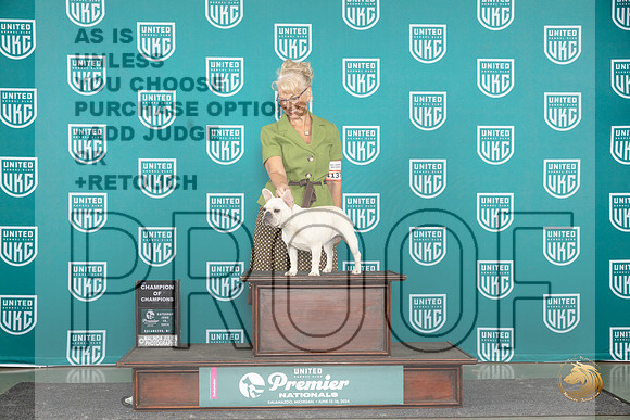 French Bulldog #1137 Sat COC Judge Stephanie Mueller__JP_2872_Premier_2024_HR3
