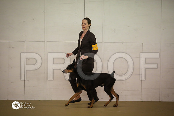 Dobe-7822-HtoJan14-HR
