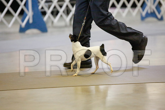 _JJ_8631-AmarilloSept2014-HR3
