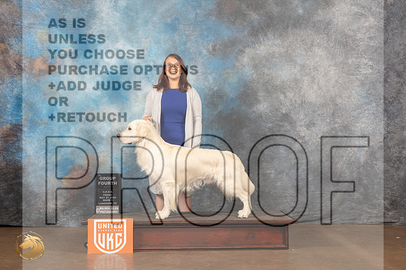 Golden Retriever #112 Fri1 G4 Judge Michelle BlackowlMMJ_6107_Lngvw2022HR3