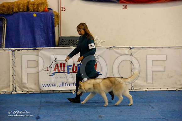 _M3_8812-AddisonHuskyMar2015-HR3