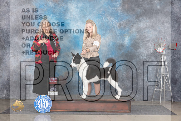 Canaan Dog #5 Thurs G2 Judge Denise Dean__JP_5038_Amarillo_2024_HR3