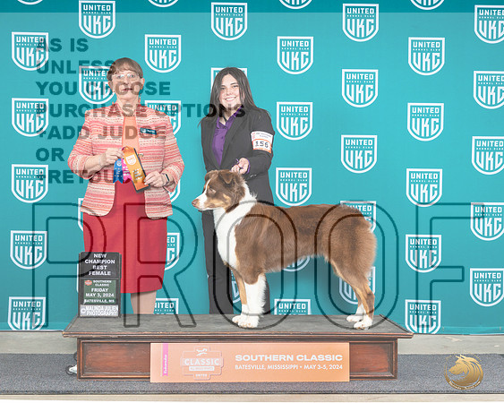 Australian Shepherd #156 BFCH Judge Nancy Eilks__JP_6275e_Batesville_2024_HR3