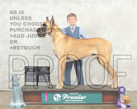 Great Dane #933 Sat JrBOB__MJ_9299_Premier_2022_HR3