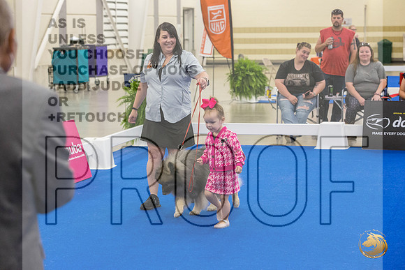 Juniors Ring Sat_JJL_2468_Premier_2024_HR3