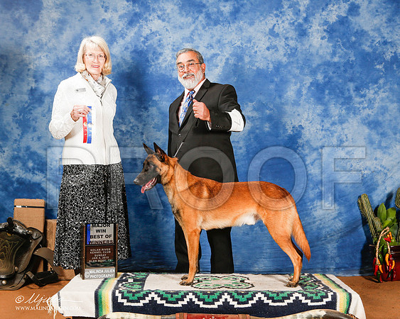 _ST_1353-2-GlenRoseJan2015-HR3