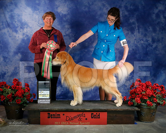 BestGunDog-9125-WFOct2013-HR
