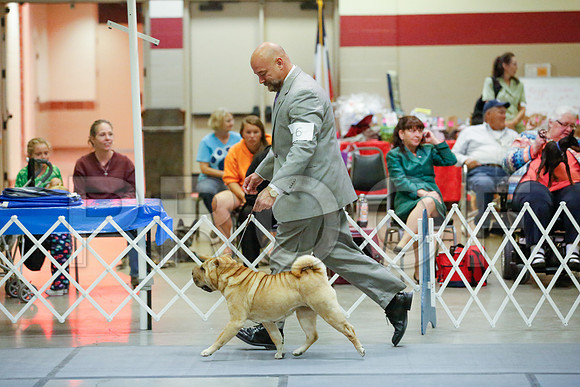 _JJ_0064-AmarilloSept2014-HR3