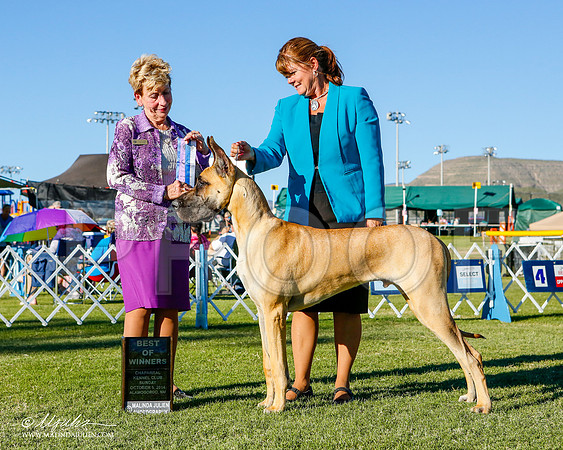 _ST_3473-2-AlamogordoOct2014-HR3
