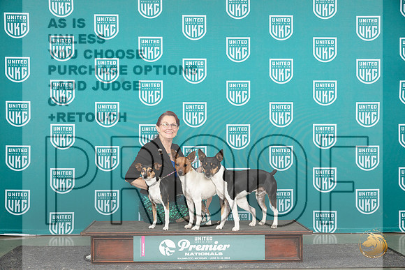 Rat Terriers Jeri Berg__JP_3402_Premier_2024_HR3