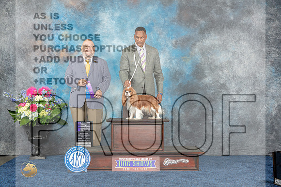 Cavalier King Charles Spaniel #6 Fri WB NC Judge Raymond Filburn-MJP_3880e-Hstn2023_HR3