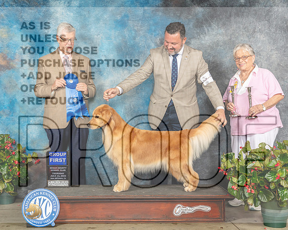 Golden Retreiver #48 Thur G1 Judge Dr Michael Woods-MJP_7469e-SA2023_HR3